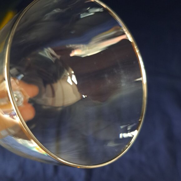 Fostoria Trousseau Water Goblet Platinum Trim Elegant Design For Dining - Picture 4 of 14